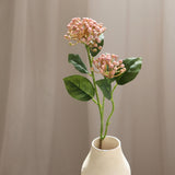 Hydrangeas Berry Branch, Blush
