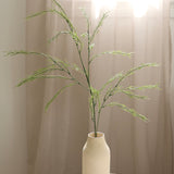 Long Pamper Grass