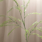 Long Pamper Grass