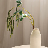 Hanging Amaranthus, Green