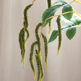 Hanging Amaranthus, Green