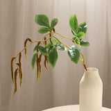 Hanging Amaranthus, Brown