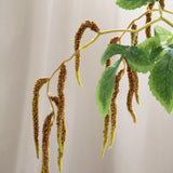 Hanging Amaranthus, Brown