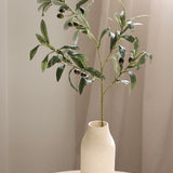 Olive Branch, L