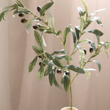 Olive Branch, L