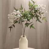 Holly Fruit Berry Branch, White
