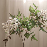Holly Fruit Berry Branch, White