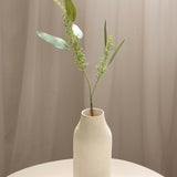 Seeded Eucalyptus