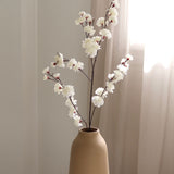 Cherry Branch
