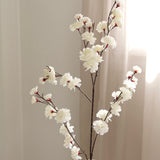 Cherry Branch