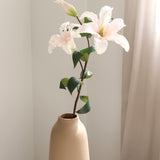 Lily