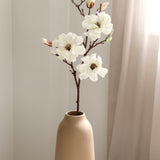 Magnolia Branch, White