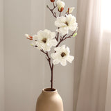 Magnolia Branch, White