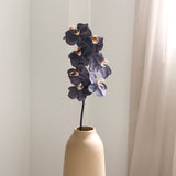 Orchid, Dark