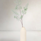 Fine Fern Branch