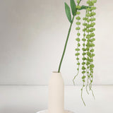 Hanging Amaranthus Bells