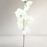 Double flower, Cherry Blossom