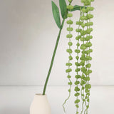 Hanging Amaranthus Bells