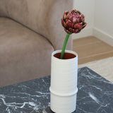 Allium