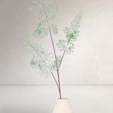 Fine Fern Branch