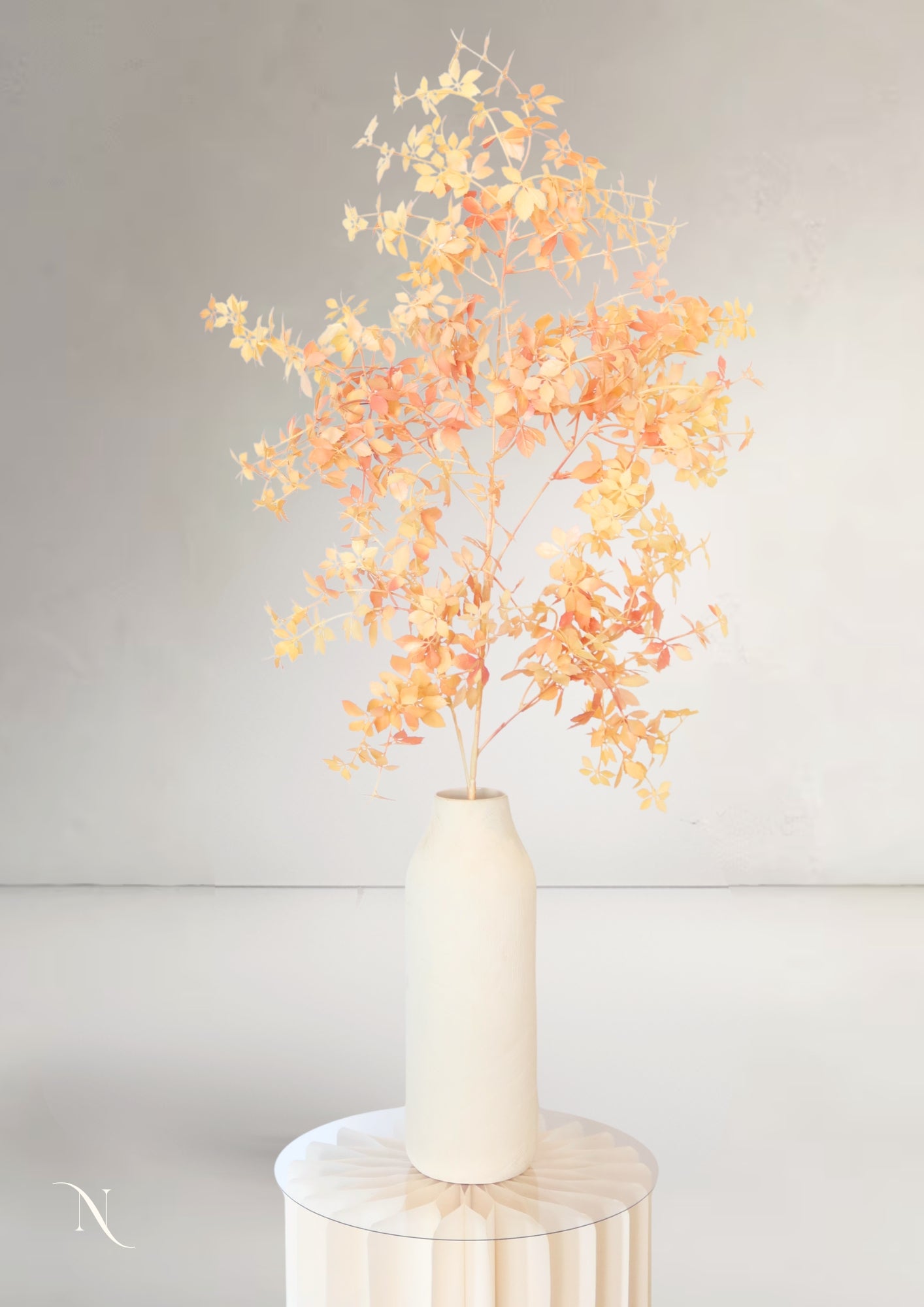 Cotinus