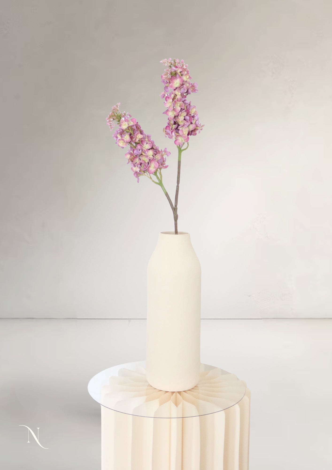 Baby Hydrangeas, White