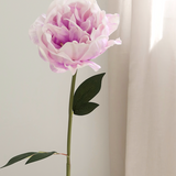 Lux Peony, Purple Gradient