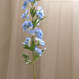 Delphinium, Blue