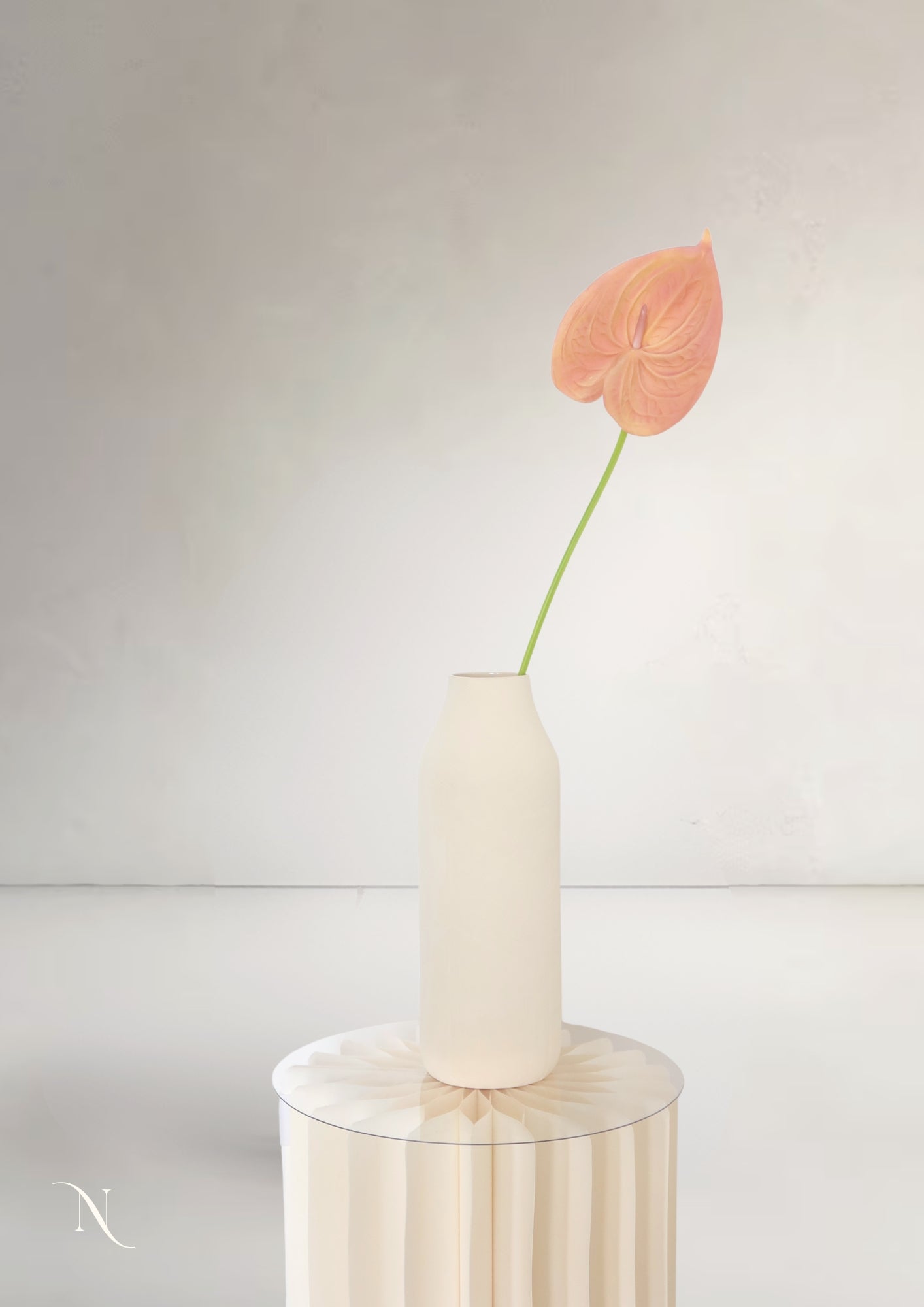 Anthurium S, Burgundy
