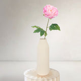 Peony, Light Rose