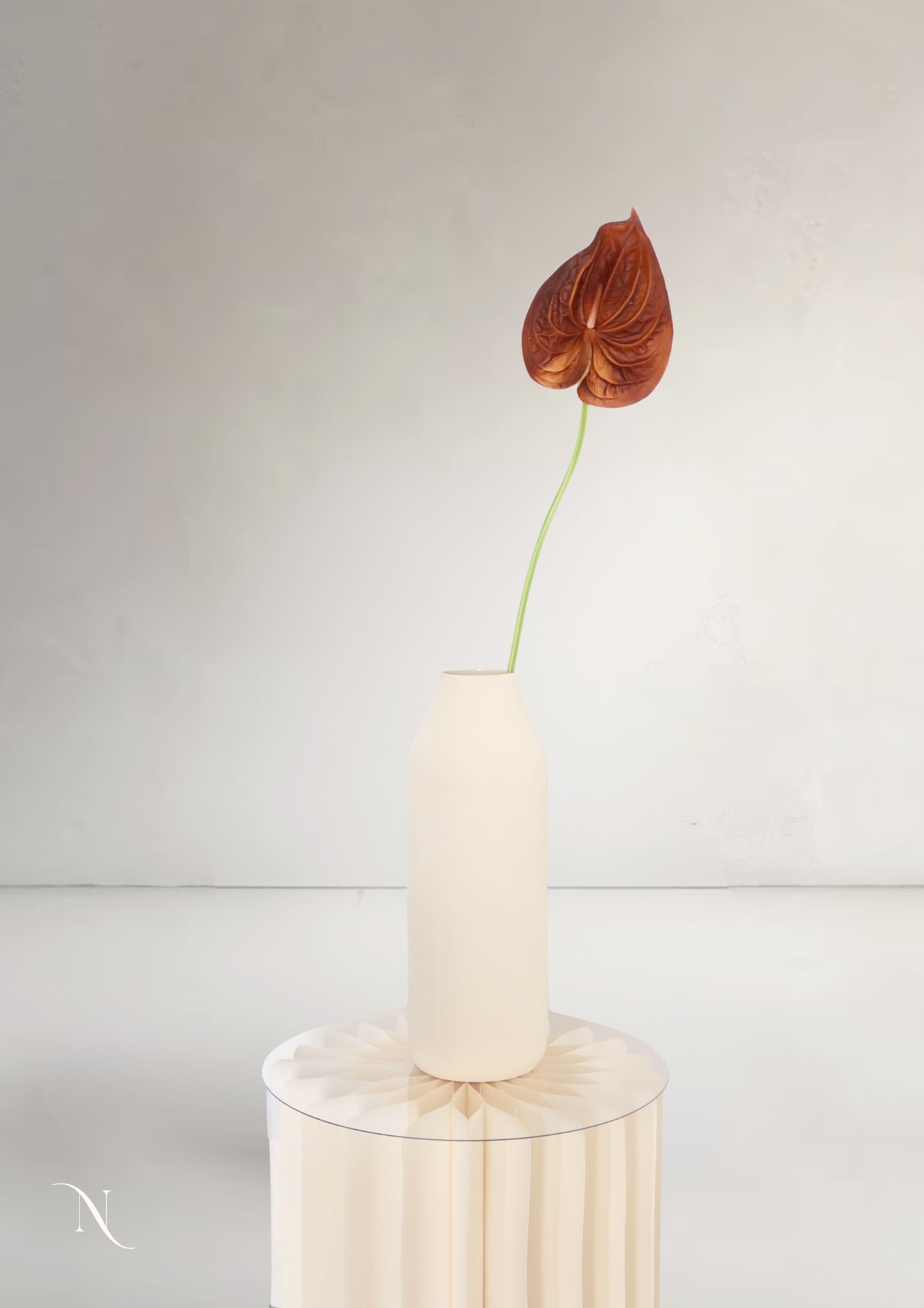 Anthurium S, Burgundy