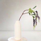Hanging Berry Amaranthus, Dark