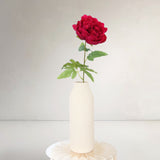 Peony, Light Rose