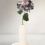 Hydrangeas L, Green