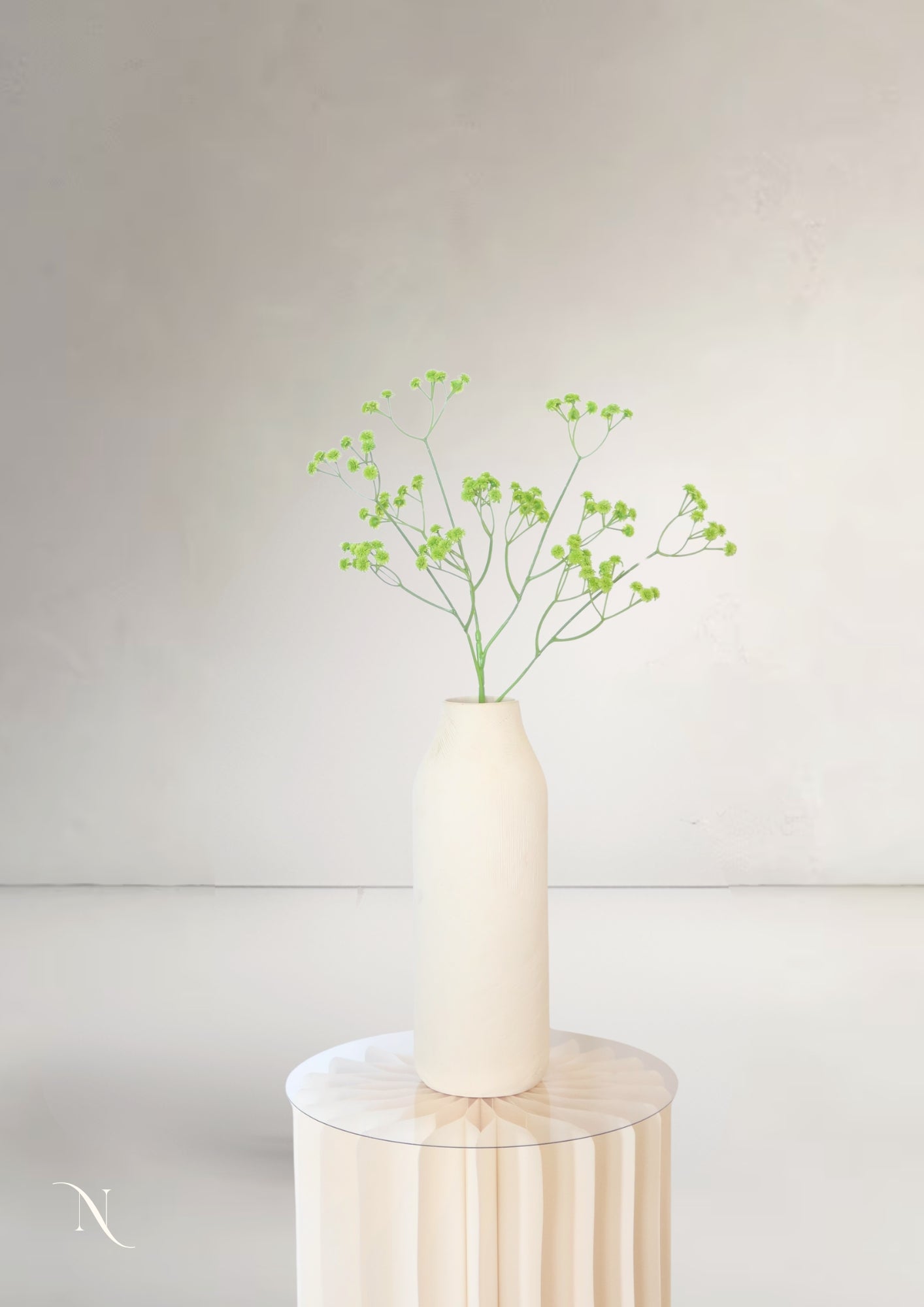 Bupleurum