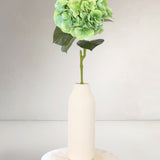 Hydrangeas L, Green