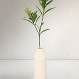 Spirea
