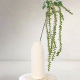 Hanging Amaranthus, Green