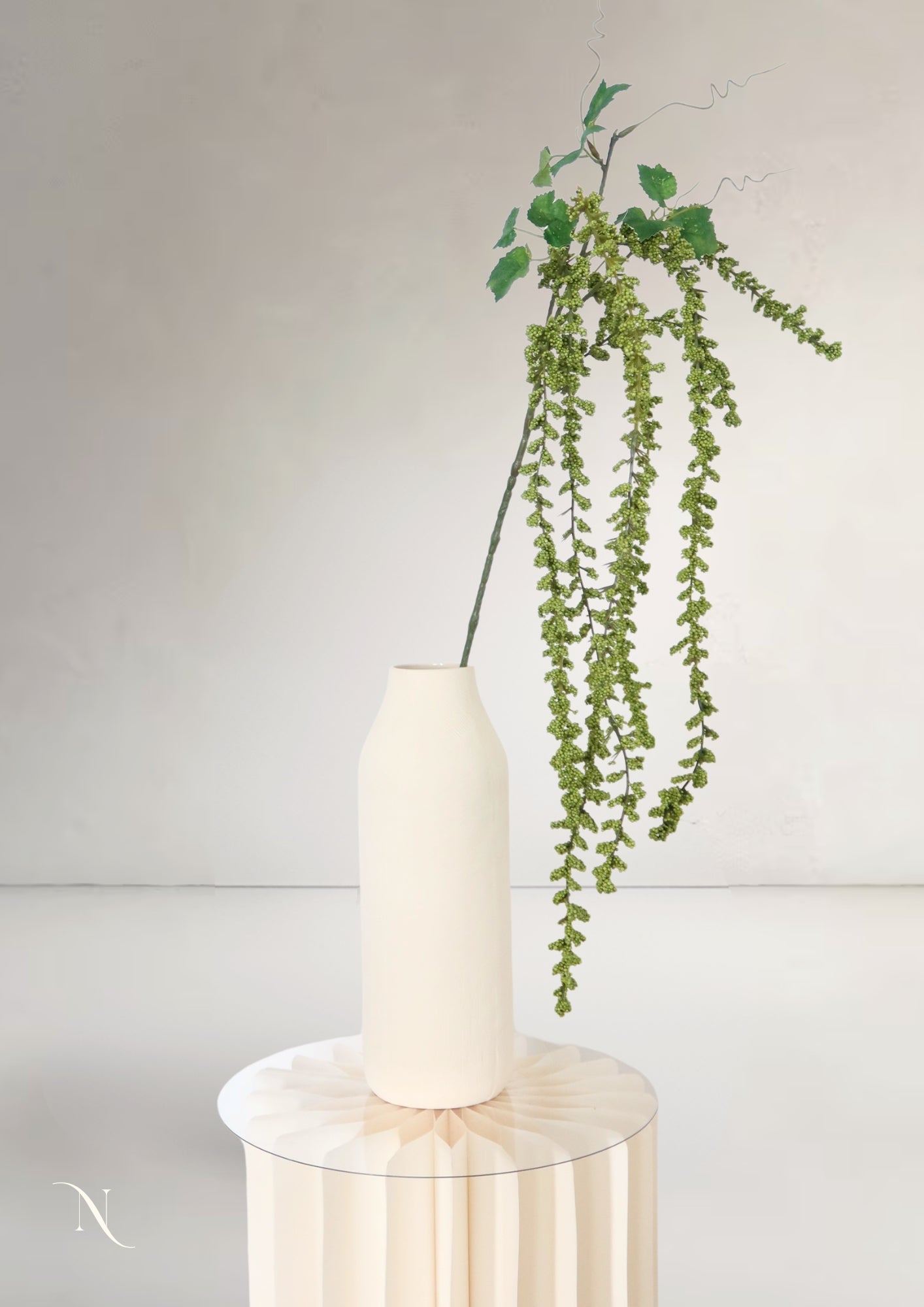 Hanging Amaranthus, Red