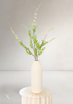 Flower Fern