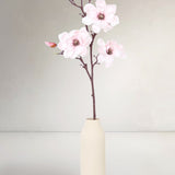 Magnolia Branch, Pink
