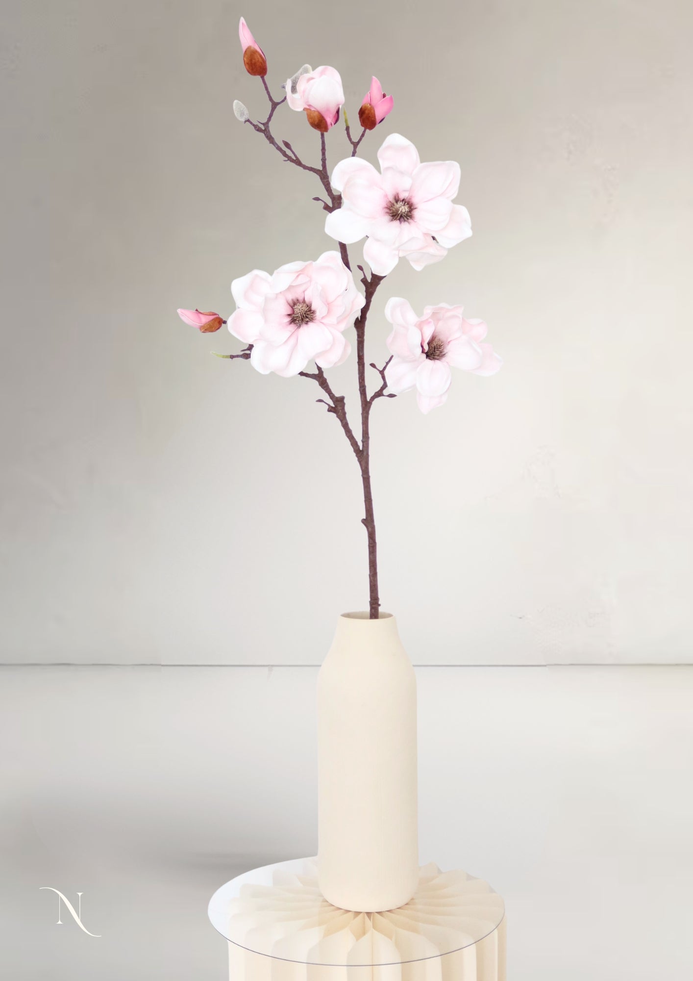 Magnolia Branch, White