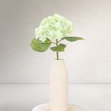 Hydrangeas S, Brown