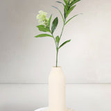 Spirea