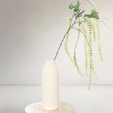Hanging Amaranthus, Green