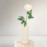 Peony, Light Rose