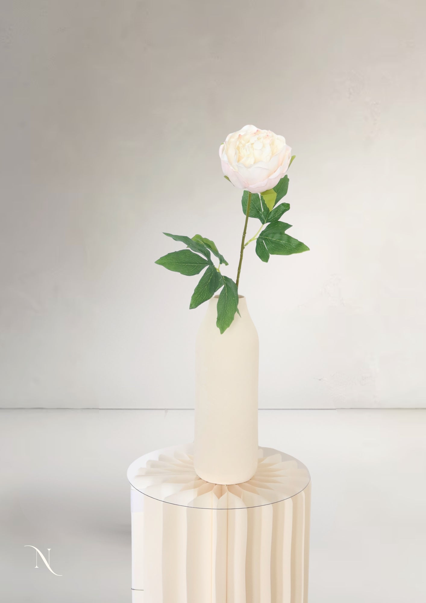 Peony, White Cream