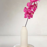 Orchid, Dark
