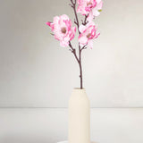 Magnolia Branch, Pink