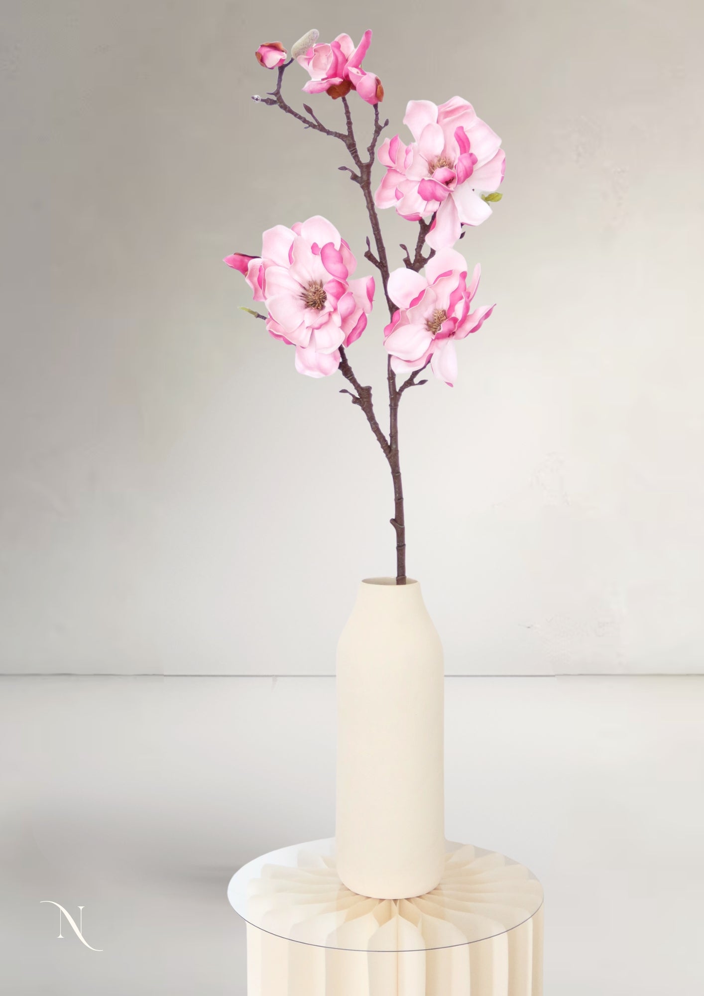 Magnolia Branch, White